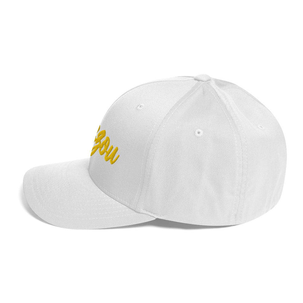 hat
